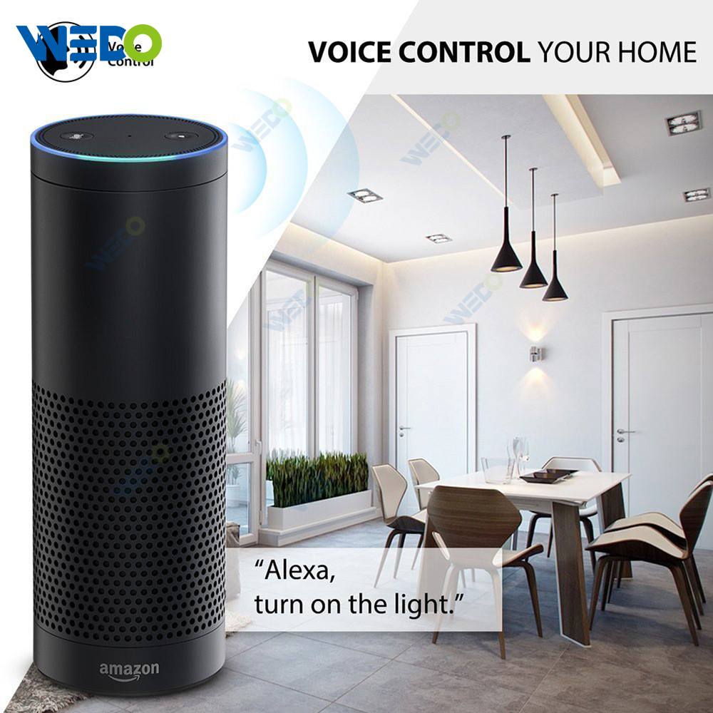 Europe Standard Alexa Google WIFI Family Voice Control Support Tuya Support Smart Life Smart Touch Switch 