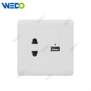 C50 Home Switches 2pin Socket +USB/ 2USB White/gold/silver/brush Gold/wood/brush Silver